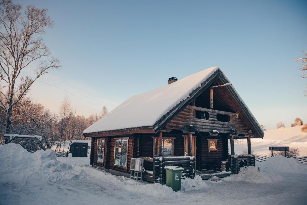 Nuustakumajad Villa Otepaa Luaran gambar